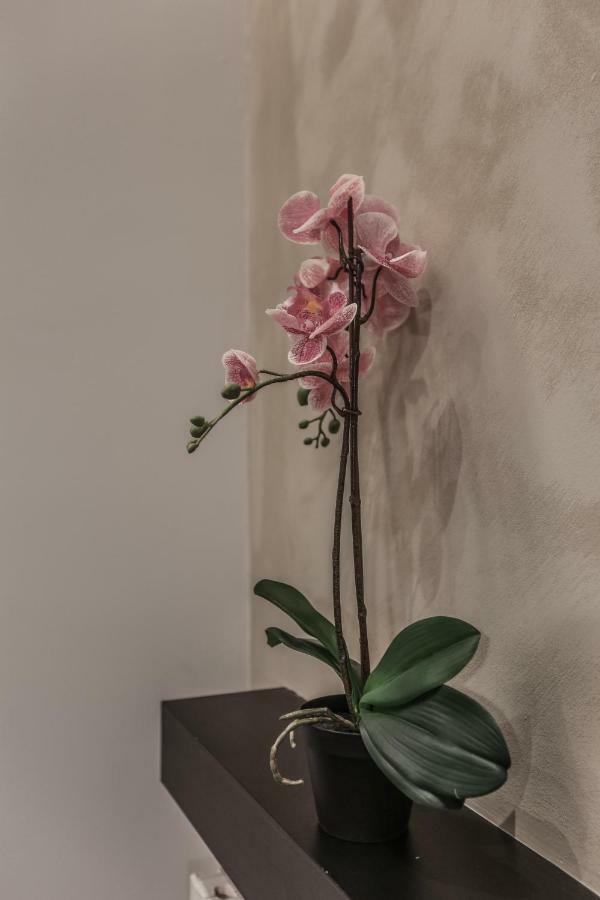 Stylish Apartment Near Duomo Milano Exteriör bild